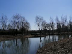 -东郊湿地公园