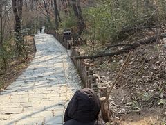 -大伊山景区