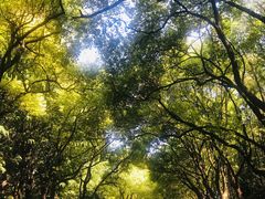 -共青国家森林公园-售票处