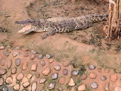 -石家庄市动物园