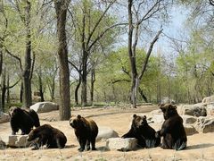 -北京野生动物园