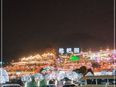 -枇杷园食为鲜火锅(南山店)