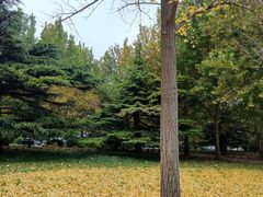 -中国政法大学(昌平校区)