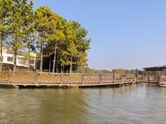 -上海海湾国家森林公园