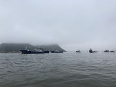 -北岐滩涂