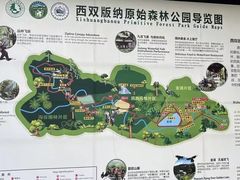-西双版纳原始森林公园