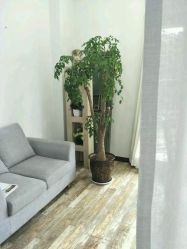 -星豆豆儿童摄影(南郊太白南路店)