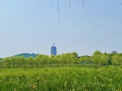 -永定河休闲森林公园