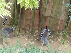 -北京野生动物园