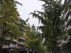 -奎星楼街