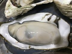 -蚝专家(北滘店)
