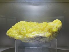 -甘肃地质博物馆