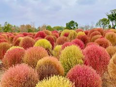 -花开海上生态园