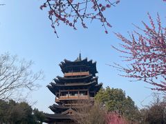 -杭州半山国家森林公园