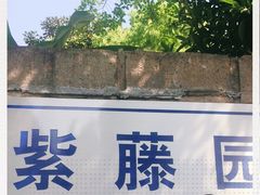 -嘉定紫藤园