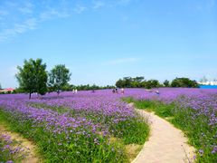 -渔岛海洋度假区