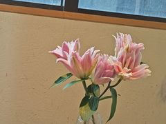 -梅间堂茶馆(绿地缤纷城店)