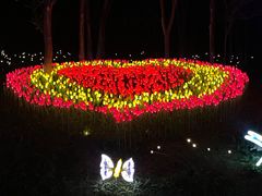 -水上乐园·欢乐世界