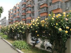 -中国石油大学（北京）(北京西校区)