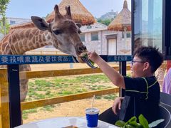 -西霞口神雕山野生动物世界