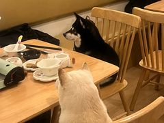 -柴の食堂·日式家庭料理·熊之肆(大学路店)