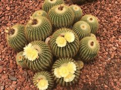 -南通洲际绿博园