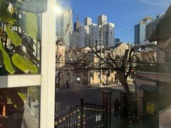 -蝶舍·MAISON PAPILLON