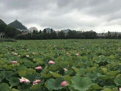 -安龙招堤