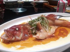 -富淳饭店(陆家嘴保利广场店)