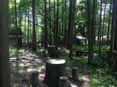 -东明山森林公园
