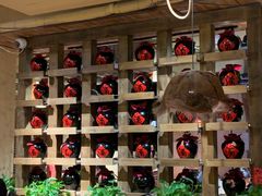 -泥糊破店小酒馆·团建聚餐(南京西路店)