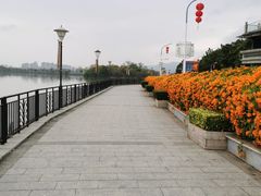 -星湖旅游景区七星岩