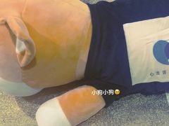 -安肯心理咨询(长宁旗舰店)