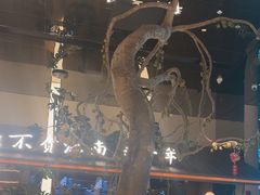 -桂满陇·海市蜃楼·黑金(国金店)