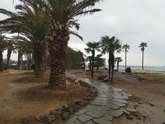 -Cafe Aewol Monsant