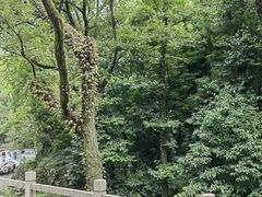 -雁荡山风景名胜区