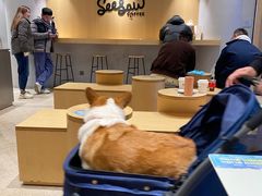 -Seesaw Coffee(西岸凤巢店)
