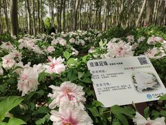 -仁和公园(顺义区)