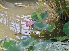 -同里国家湿地公园