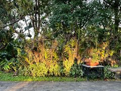 -东莞植物园
