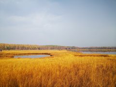 -塞罕坝国家级自然保护区