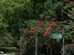 -杭州城北体育公园