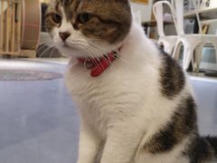 -小时光咖啡馆(开森度假森林店)