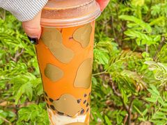 -milkplus·泰式奶茶(较场东路店)