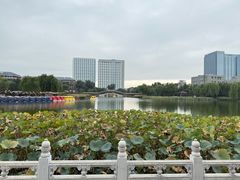 -西海子公园