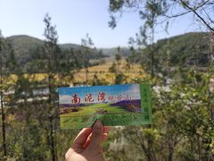 -南泥湾风景区
