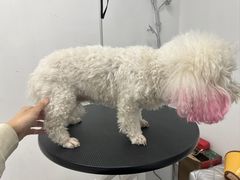 -comecome来吧宠物(奥克斯中心店)