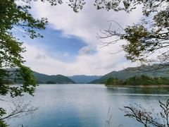 -仙岛湖旅游风景区