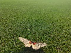 -广州冠景高尔夫练习场