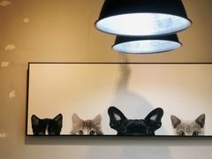 -吃饼人西餐(南开店)